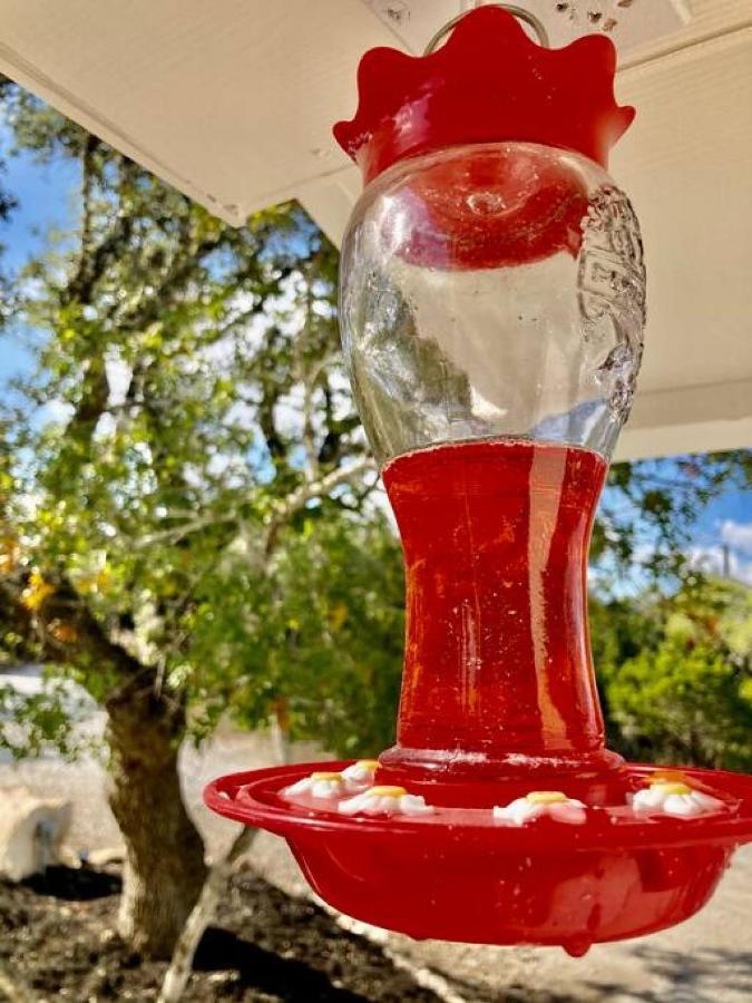 Villa Hummingbird Haus - Hill Country Views On 20 Acres With Firepit à Spring Branch Extérieur photo